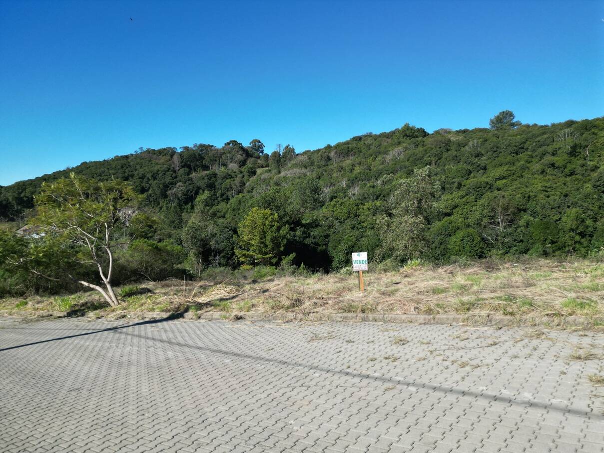 #315 - Terreno para Venda em Flores da Cunha - RS