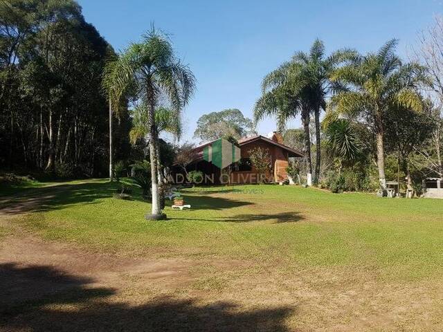 Chácara para Venda em Flores da Cunha - 1