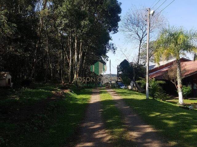 Chácara para Venda em Flores da Cunha - 3