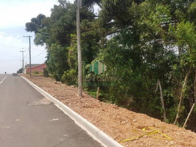 #130 - Terreno para Venda em Flores da Cunha - RS - 1