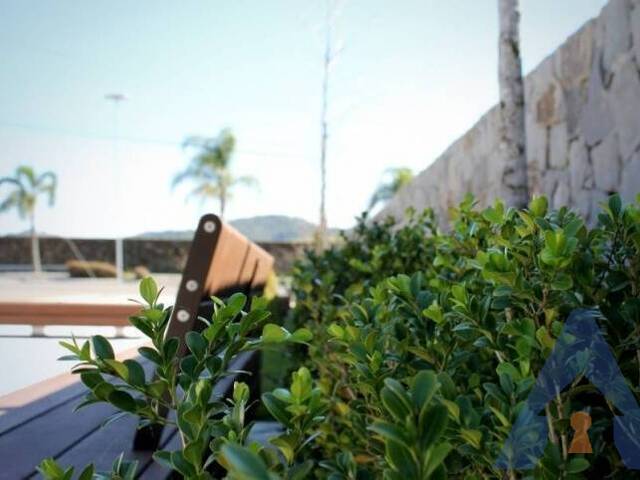 Terreno para Venda em Flores da Cunha - 5
