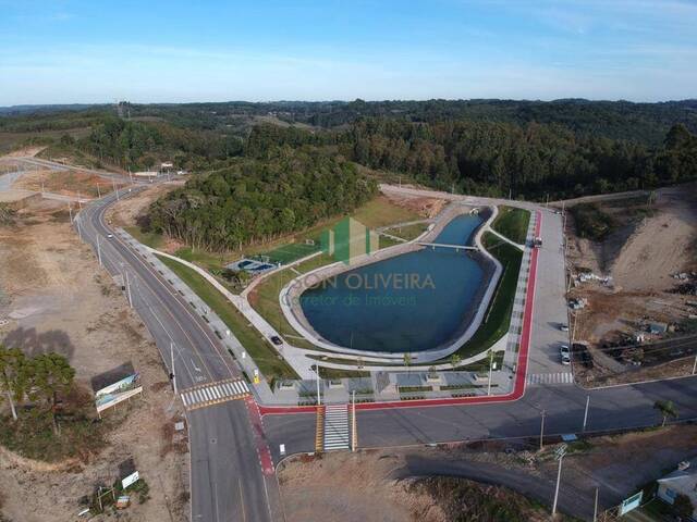 #109 - Terreno para Venda em Flores da Cunha - RS - 1