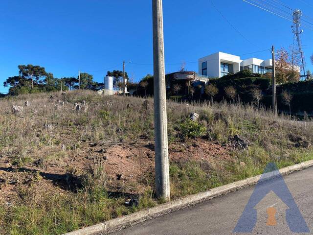Terreno para Venda em Flores da Cunha - 5