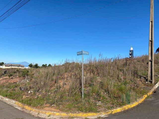 #195 - Terreno para Venda em Flores da Cunha - RS - 2