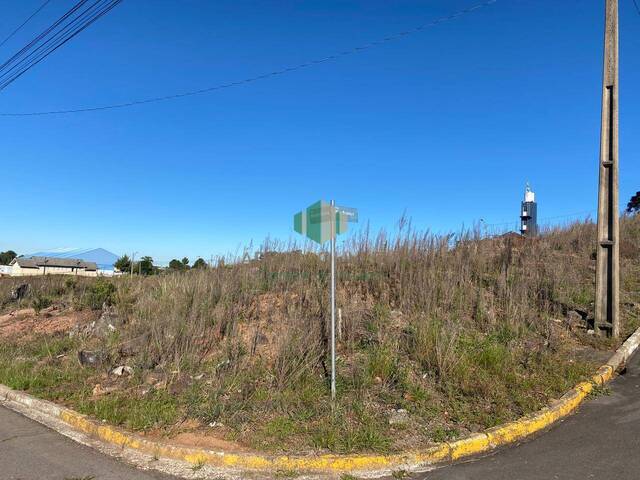 #195 - Terreno para Venda em Flores da Cunha - RS