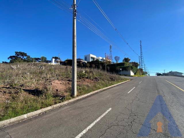 Terreno para Venda em Flores da Cunha - 4
