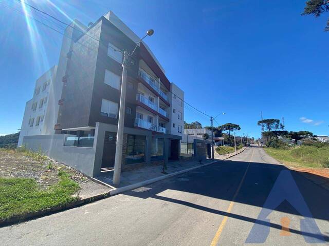 Apartamento para Venda em Flores da Cunha - 4