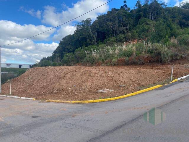 #202 - Terreno para Venda em Flores da Cunha - RS - 1