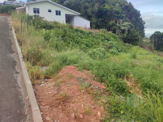 #210 - Terreno para Venda em Flores da Cunha - RS - 2