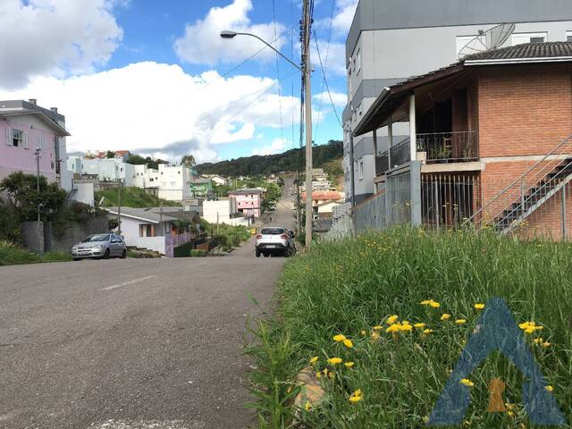 Terreno para Venda em Flores da Cunha - 5