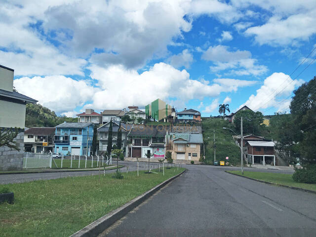 #20 - Terreno para Venda em Flores da Cunha - RS - 2