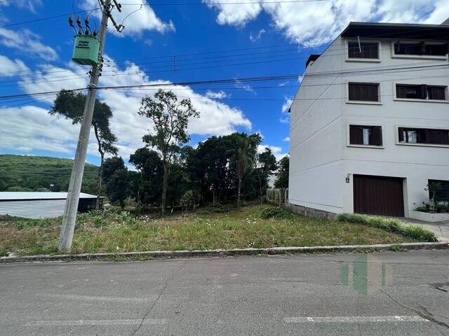 #215 - Terreno para Venda em Flores da Cunha - RS - 2