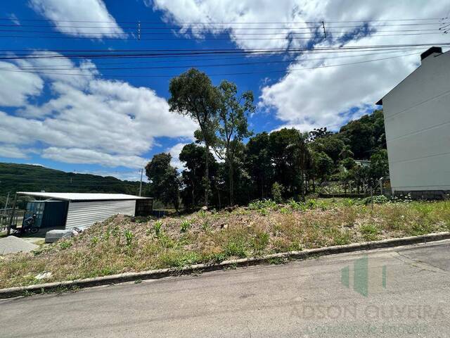 #215 - Terreno para Venda em Flores da Cunha - RS