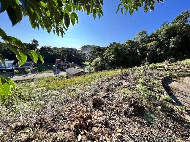 #219 - Terreno para Venda em Flores da Cunha - RS - 3