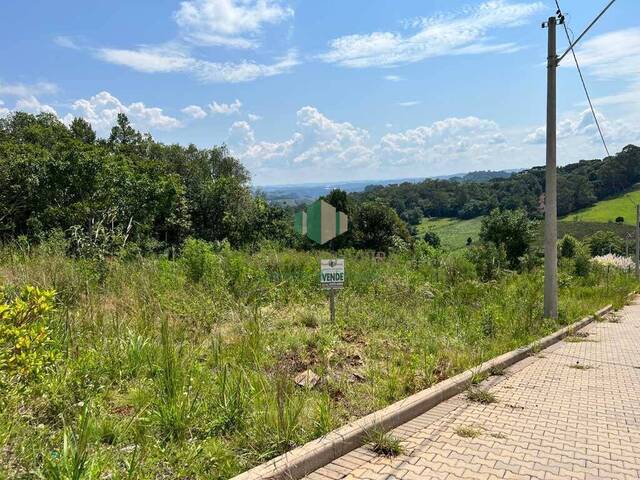 #220 - Terreno para Venda em Flores da Cunha - RS