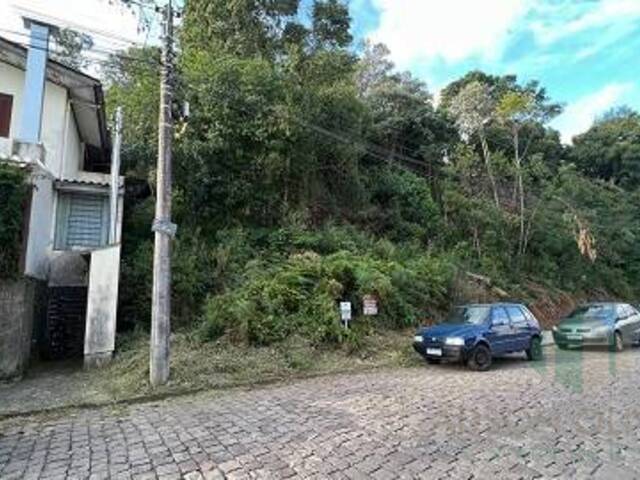 #246 - Terreno para Venda em Caxias do Sul - RS - 2