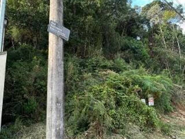 Terreno para Venda em Caxias do Sul - 5