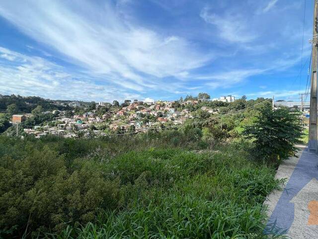 Terreno para Venda em Caxias do Sul - 5