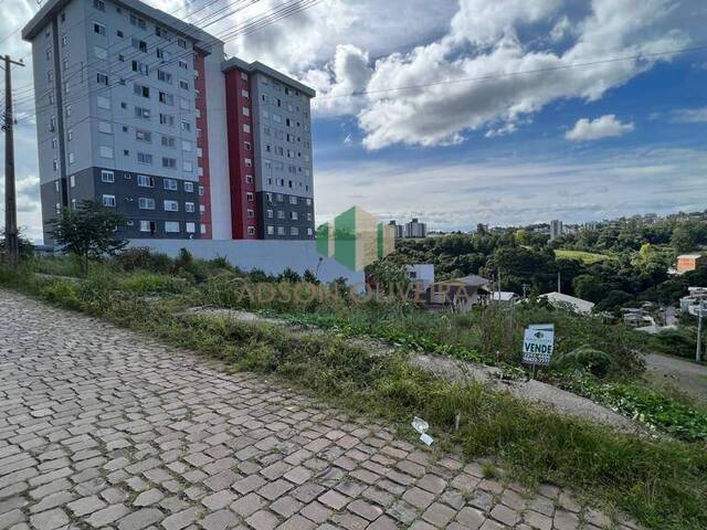 #248 - Terreno para Venda em Caxias do Sul - RS - 2