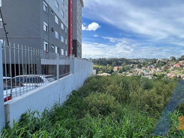 Terreno para Venda em Caxias do Sul - 4