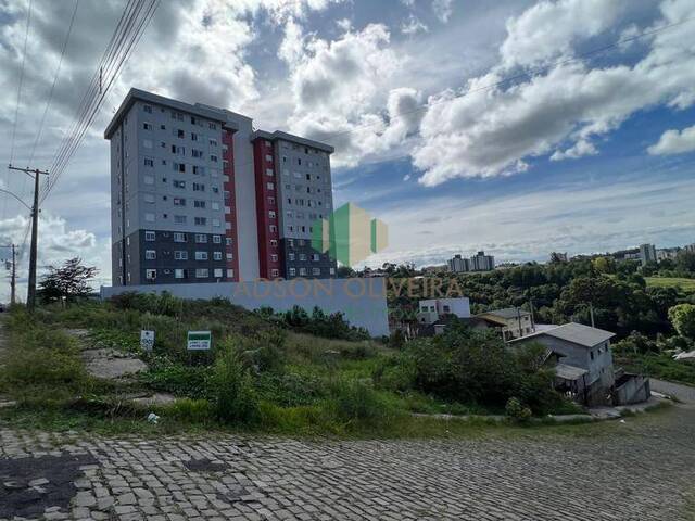 Venda em Tijuca - Caxias do Sul