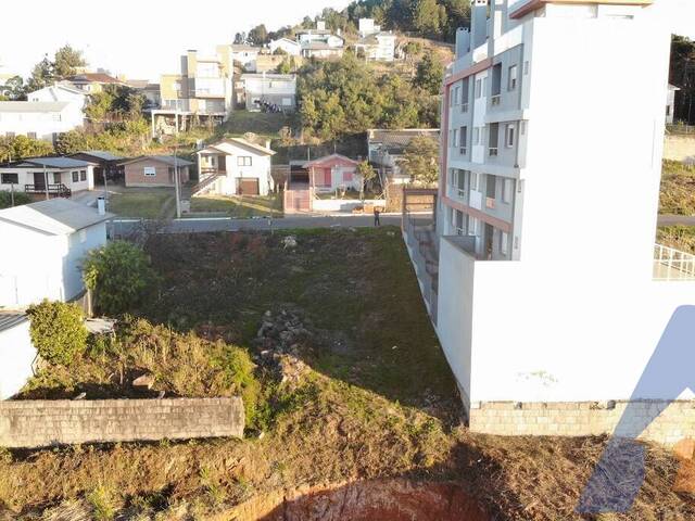 Terreno para Venda em Flores da Cunha - 5
