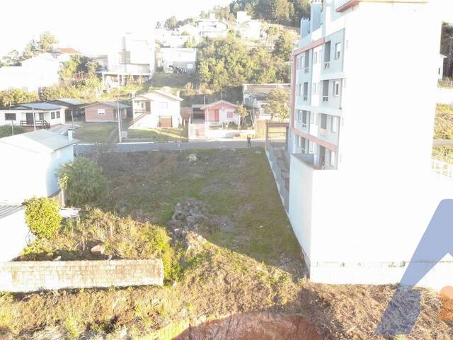 Terreno para Venda em Flores da Cunha - 4