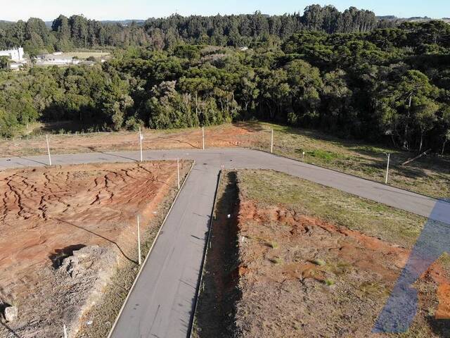 Terreno para Venda em Flores da Cunha - 5