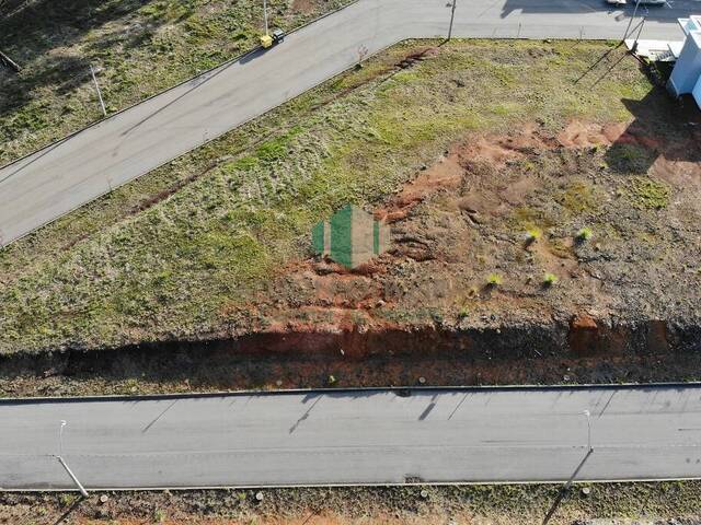 #259 - Terreno para Venda em Flores da Cunha - RS - 1