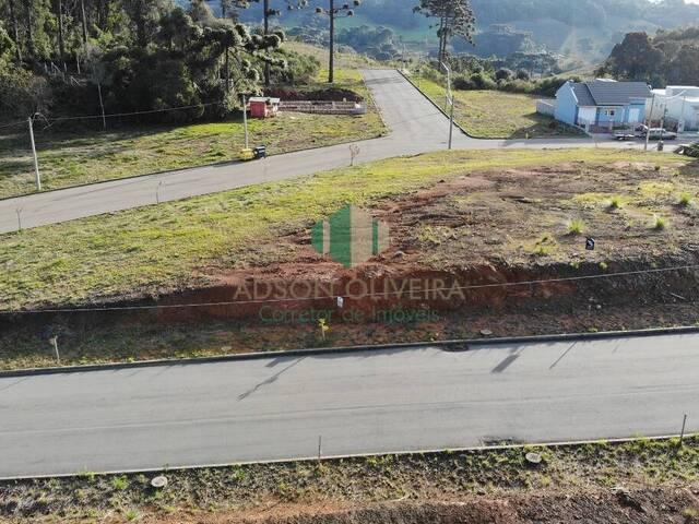 #259 - Terreno para Venda em Flores da Cunha - RS