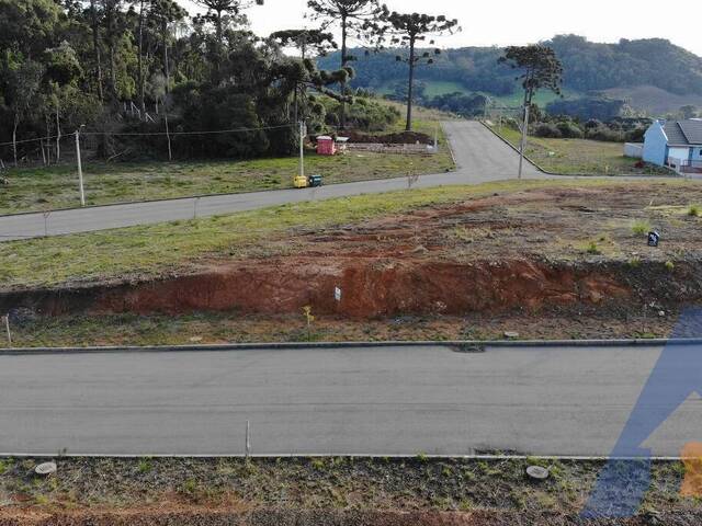 Terreno para Venda em Flores da Cunha - 4