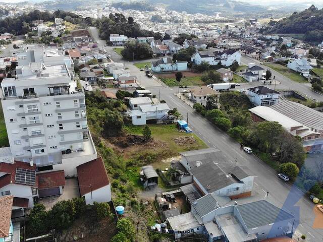 Terreno para Venda em Flores da Cunha - 5