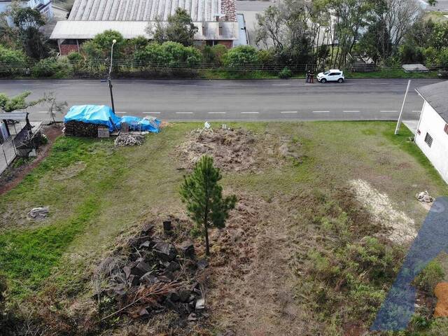 Terreno para Venda em Flores da Cunha - 4