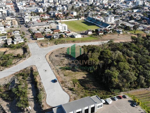 #208 - Terreno para Venda em Flores da Cunha - RS - 1