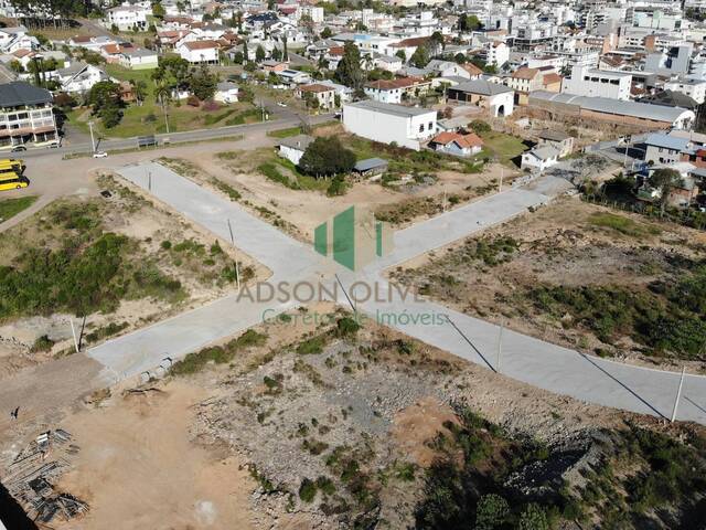 #208 - Terreno para Venda em Flores da Cunha - RS
