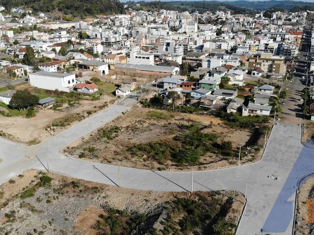 Terreno para Venda em Flores da Cunha - 4