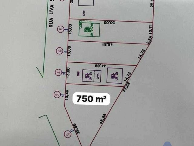 Terreno para Venda em Flores da Cunha - 4
