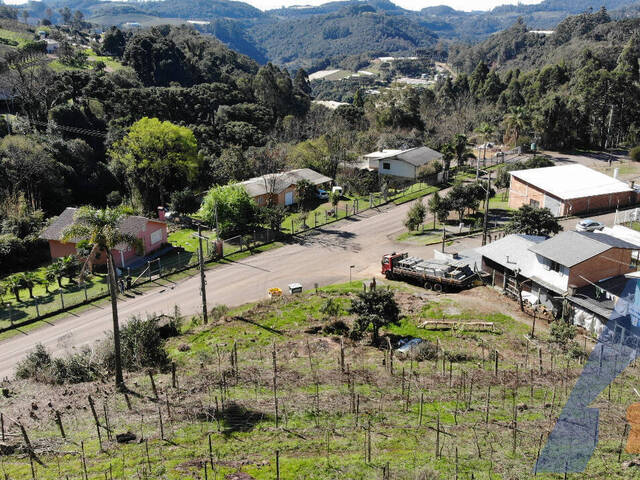 Terreno para Venda em Flores da Cunha - 5