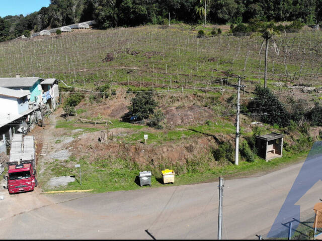 #282 - Terreno para Venda em Flores da Cunha - RS - 2