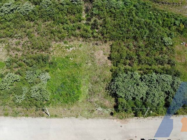 Terreno para Venda em Flores da Cunha - 4