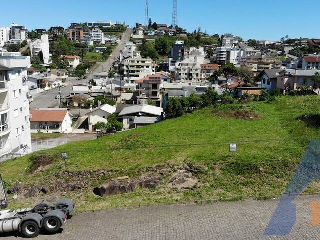 Terreno para Venda em Flores da Cunha - 5