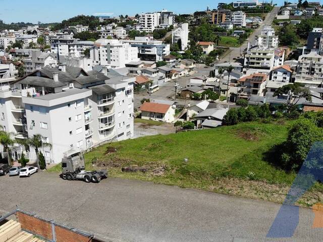 Terreno para Venda em Flores da Cunha - 4