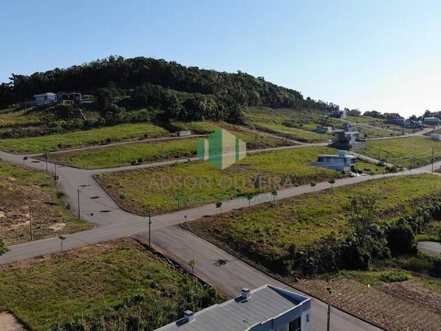 #145 - Terreno para Venda em Flores da Cunha - RS