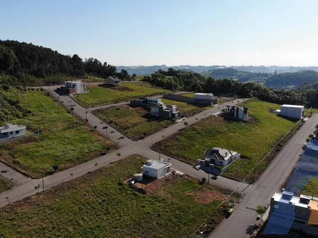 Terreno para Venda em Flores da Cunha - 5