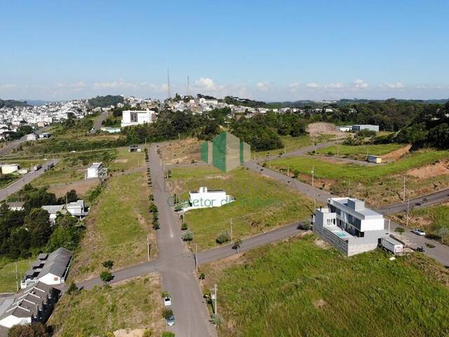 #145 - Terreno para Venda em Flores da Cunha - RS