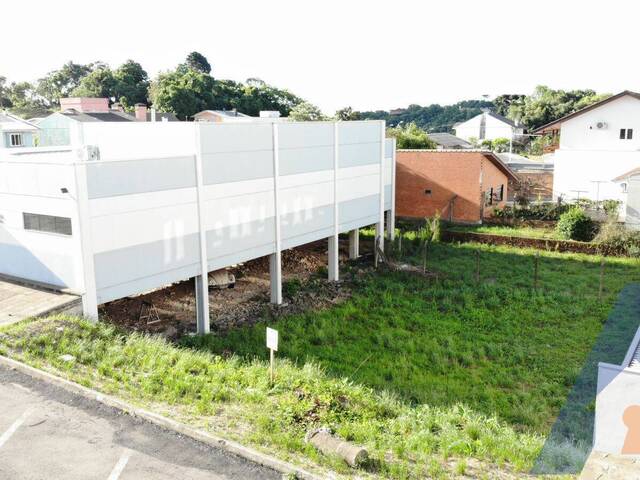 Terreno para Venda em Flores da Cunha - 5