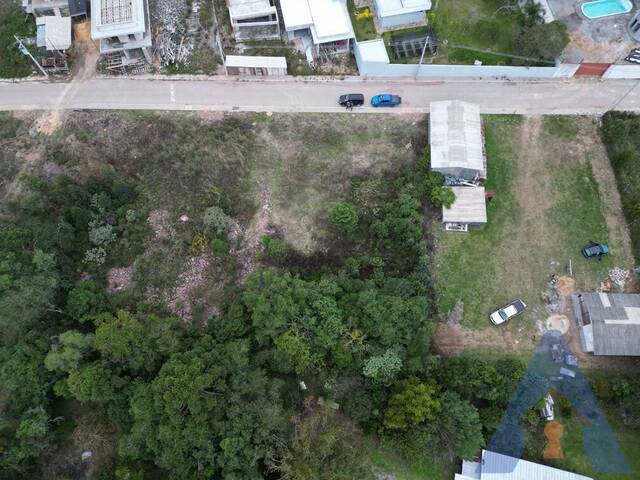 Terreno para Venda em Flores da Cunha - 4