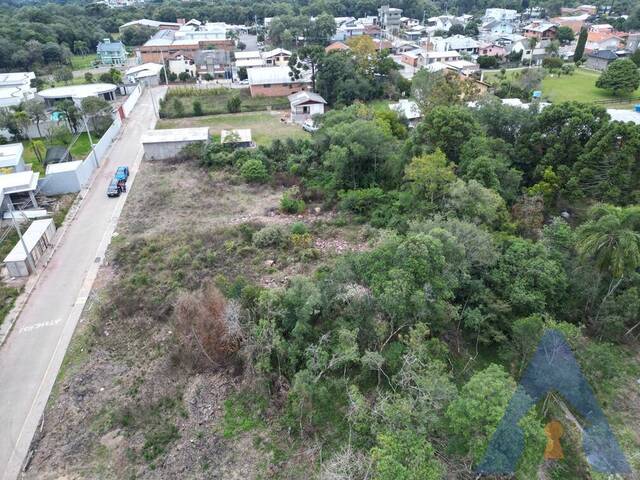 Terreno para Venda em Flores da Cunha - 5