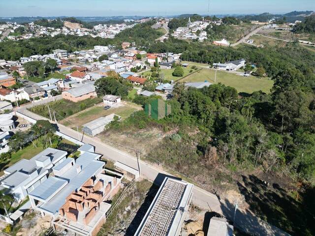 #303 - Terreno para Venda em Flores da Cunha - RS - 3