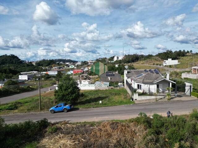 #309 - Terreno para Venda em Flores da Cunha - RS - 3